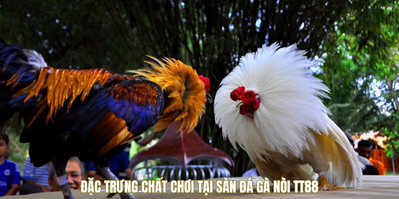 Đặc trưng chất chơi tại sàn đá gà nòi TT88
