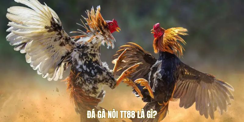 Đá gà nòi TT88 là gì?