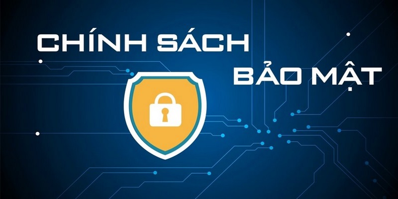 vai-tro-quan-trong-cua-chinh-sach-bao-mat-tai-betvisa